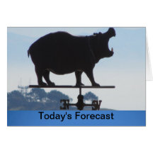 Card - Today's Forecast - Weather