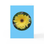 Card, "Yellow Gerber Daisy in Circle" C-1