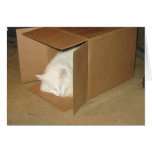 Cardboard Box Bliss Card