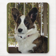 Cardigan Welsh Corgi Mousepad - Customised