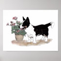 Cardigan Welsh Corgi Print  ~  Tricolor