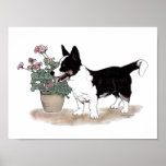 Cardigan Welsh Corgi Print  ~  Tricolor