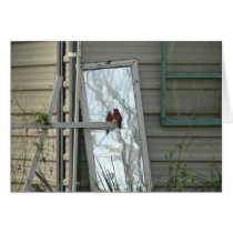 Cardinal. cards