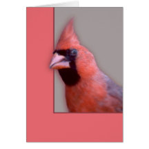 Cardinal