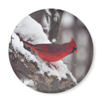 Cardinal 1578 refrigerator magnet