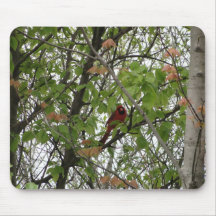 Cardinal Among The Tree Leaves Mouse Pads
