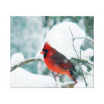Cardinal and Snow Gallery Wrap Canvas