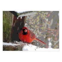 Cardinal at the Feeder ATC Business Card Templates