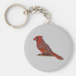 Cardinal Bird Key Chain