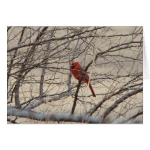 Cardinal/Blue Jay, Let Heaven and Nature Sing