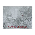 Cardinal Christmas postcards