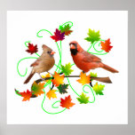 Cardinal Couple Poster