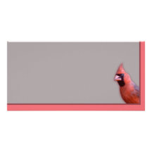 Cardinal Customized Photo Card