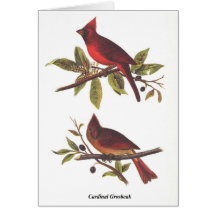 Cardinal Grosbeak
