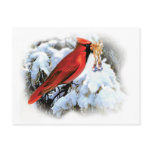 Cardinal Holiday Postcard