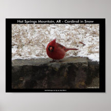 Cardinal Hot Springs Nat. Park Mountain Poster II