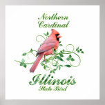 Cardinal Illinois State Bird Print