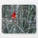 Cardinal in Snow Mouse Mats