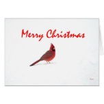 Cardinal in the snow Christmas card