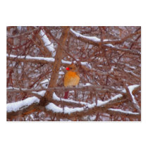Cardinal in the Snow Painting Business Cards