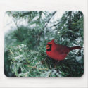 Cardinal in Tree mousepads
