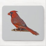 Cardinal Male Mousepad