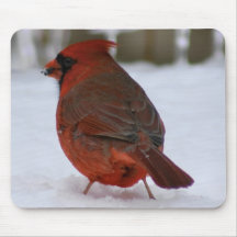 Cardinal Mouse Mat