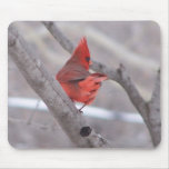 cardinal mousepad