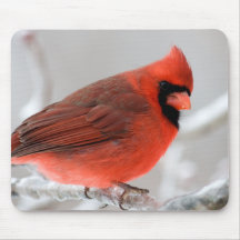 Cardinal Mousepad