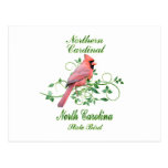 Cardinal North Carolina State Bird Post Cards