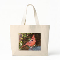 Cardinal on Bird Bath Bags