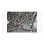 Cardinal Picture Card