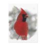 Cardinal Postcard