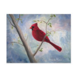 Cardinal Postcard