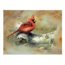 Cardinal Postcard