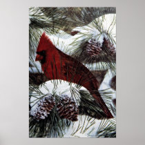 Cardinal Posters