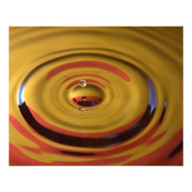 Cardinal Red and Gold Water Drop Photograph