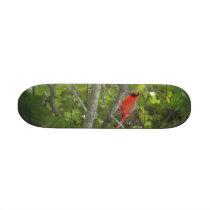 cardinal Skateboard