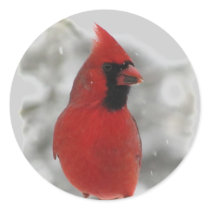 Cardinal Sticker