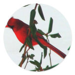 cardinal stickers