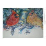 Cardinal Study