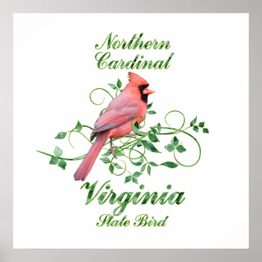 Cardinal Virginia State Bird Print
