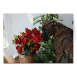 Cards: Boxer Christmas