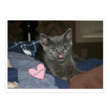 Care for Lazarus Postcard