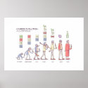 Career Evolution Poster - Large posters