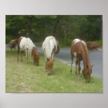 Carefree Ponies Poster