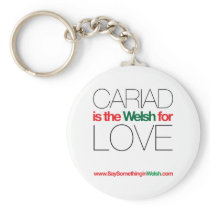 CARIAD keychains