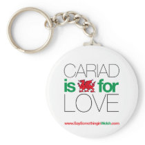 CARIAD keychains