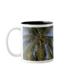 Caribbean, Bahamas, Abaco, Elbow Cay. Hopetown Coffee Mugs