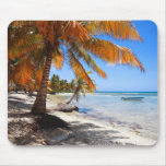 Caribbean beach with boat